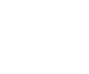 SHL Finance.png